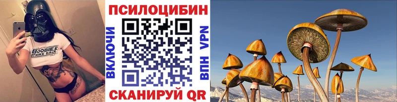 Галлюциногенные грибы Magic Shrooms  маркетплейс какой сайт  Туран 
